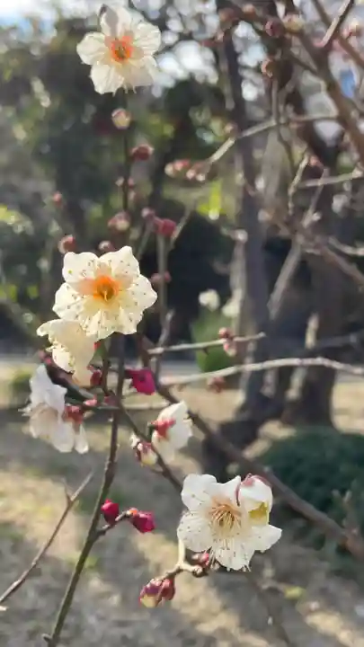 菅原神社の自然