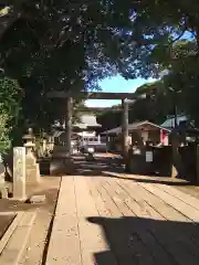 酒列磯前神社の鳥居