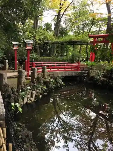 世田谷八幡宮の自然