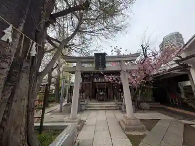 飛木稲荷神社の鳥居