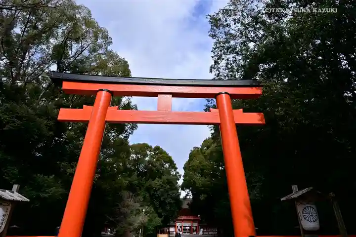 賀茂御祖神社(下鴨神社)の鳥居