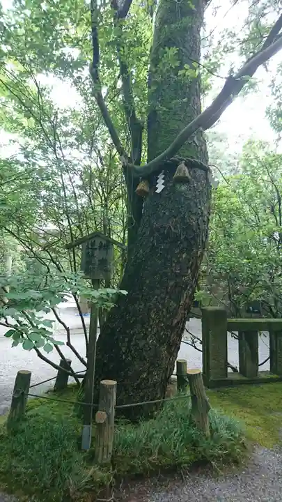 安宅住吉神社の自然