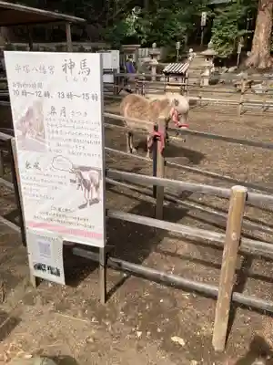 平塚八幡宮(神奈川県)
