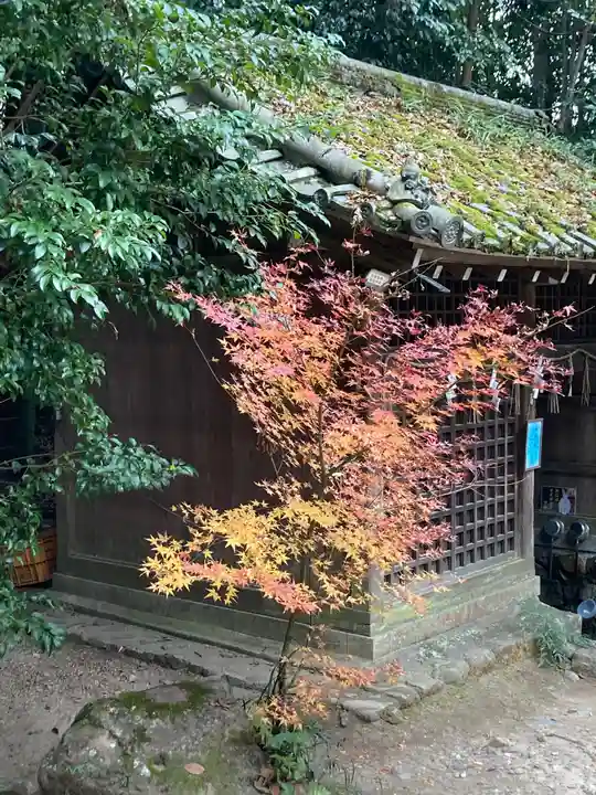 宇治上神社のその他建物