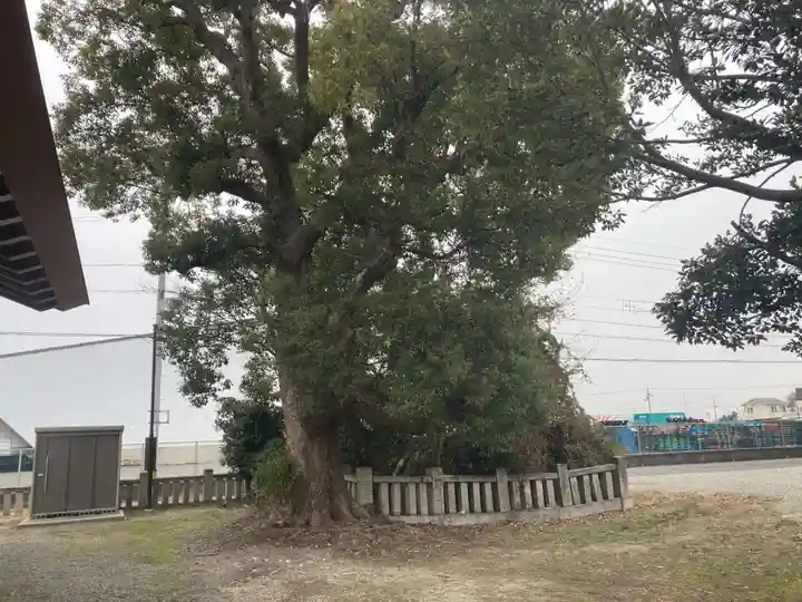 雨降神社(徳島県)