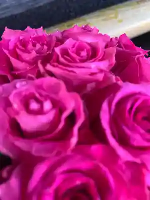 上尾御嶽神社の手水舎