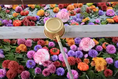 豊景神社の手水舎