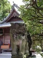 健軍神社の狛犬