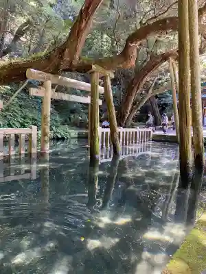 鹿島神宮(茨城県)