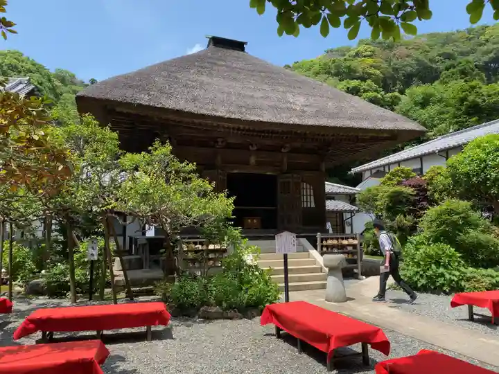 佛日庵の本殿・本堂