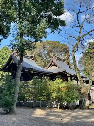 鷲宮神社の本殿