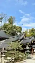 今宮神社(京都府)