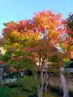 法林寺(奈良県)