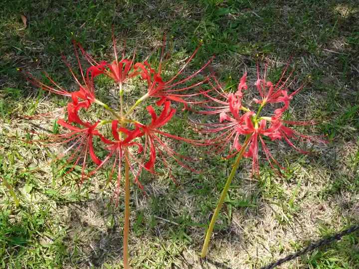 横浜 西方寺の自然