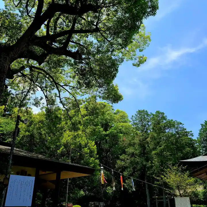 井伊谷宮(静岡県)