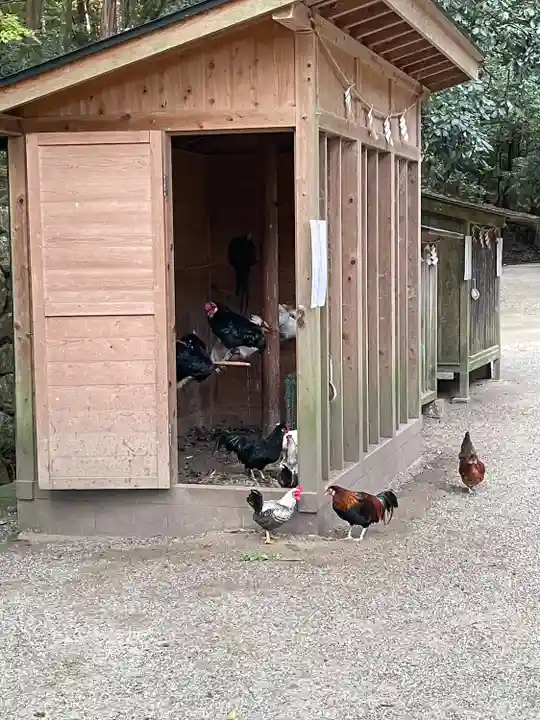 石上神宮(奈良県)