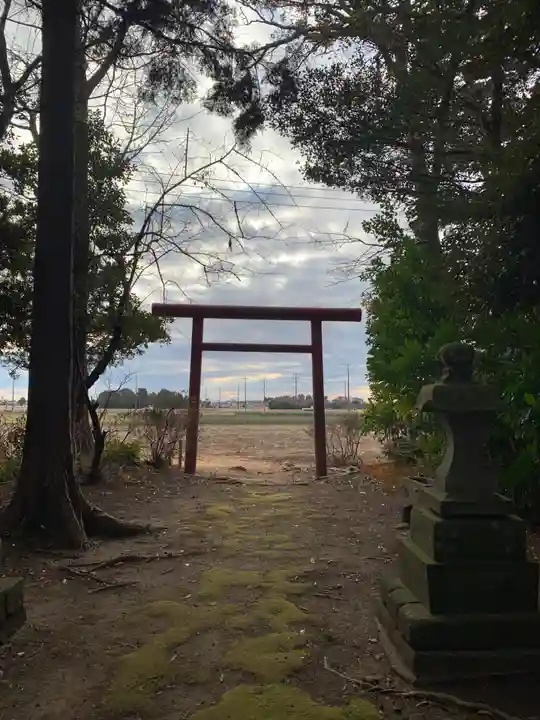 琴平神社(千葉県)