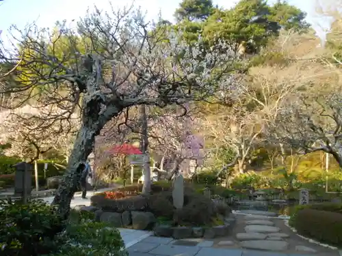 長谷寺の庭園