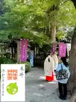 阿佐ヶ谷神明宮(東京都)