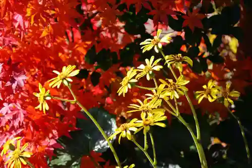 豊景神社の庭園