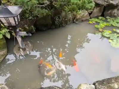 高屋敷稲荷神社(福島県)