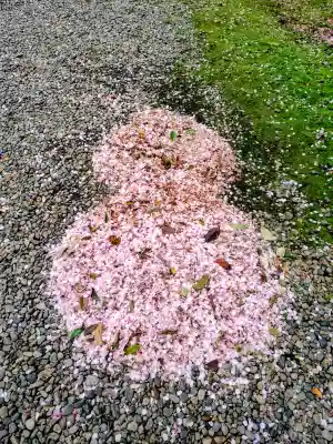 秋葉神社の{uncategorized: "未分類", other: "その他", undefined: "問題あり", building: "その他建物", grave: "お墓", sacred_gate: "鳥居", guardian: "狛犬", statue: "像", buddha: "仏像", history: "歴史", nature: "自然", garden: "庭園", animal: "動物", pagoda: "塔", temizu: "手水舎", mountain_gate: "山門・神門", sanctuary: "本殿・本堂", subordinate: "末社・摂社", art: "芸術", scenery: "景色", jizo: "地蔵", ema: "絵馬", goshuin: "御朱印", omikuji: "おみくじ", items: "授与品その他", amulet: "お守り", goshuincho: "御朱印帳", eats: "食事", festival: "お祭り", votive_dance: "神楽", shichigosan: "七五三参", wedding: "結婚式", experience: "体験その他", initially: "初詣", around: "周辺", anti_infection: "感染症対策"}