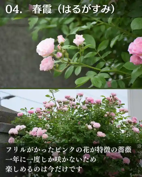 宝光寺(北海道)