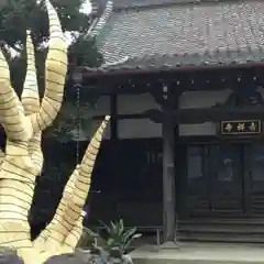 吉祥寺の建物その他