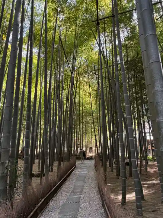 報国寺(神奈川県)