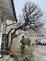 本光寺の{uncategorized: "未分類", other: "その他", undefined: "問題あり", building: "その他建物", grave: "お墓", sacred_gate: "鳥居", guardian: "狛犬", statue: "像", buddha: "仏像", history: "歴史", nature: "自然", garden: "庭園", animal: "動物", pagoda: "塔", temizu: "手水舎", mountain_gate: "山門・神門", sanctuary: "本殿・本堂", subordinate: "末社・摂社", art: "芸術", scenery: "景色", jizo: "地蔵", ema: "絵馬", goshuin: "御朱印", omikuji: "おみくじ", items: "授与品その他", amulet: "お守り", goshuincho: "御朱印帳", eats: "食事", festival: "お祭り", votive_dance: "神楽", shichigosan: "七五三参", wedding: "結婚式", experience: "体験その他", initially: "初詣", around: "周辺", anti_infection: "感染症対策"}