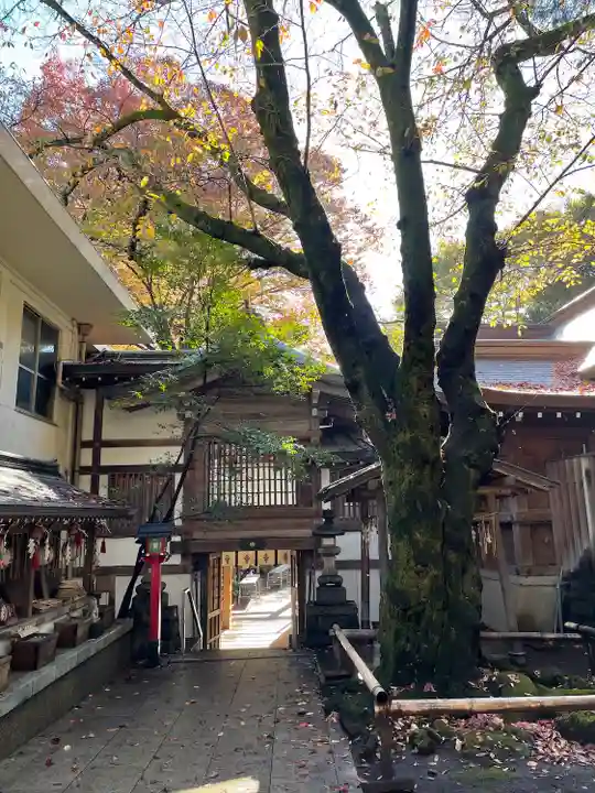 子安神社(東京都)