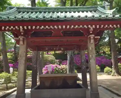根津神社の手水舎