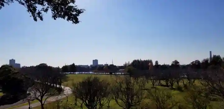 徳島稲荷神社(埼玉県)