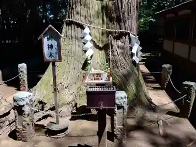 一言主神社(茨城県)
