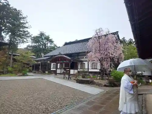 妙成寺の本殿・本堂