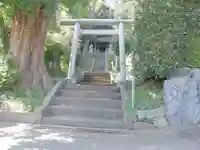 子ノ辺神社の鳥居