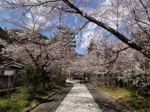 高麗神社の自然