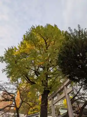 熊野神社(東京都)