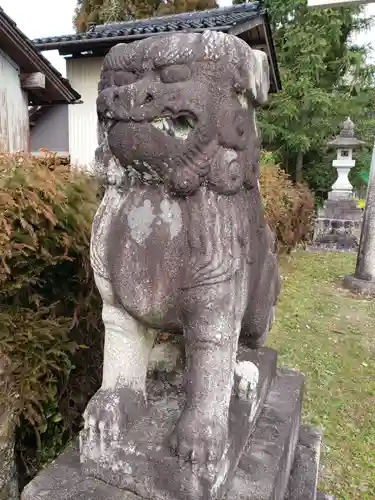 柿沢神社の狛犬