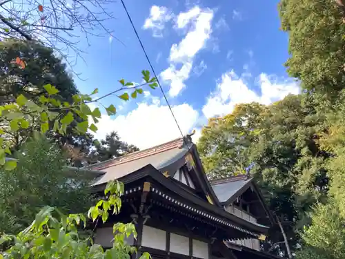 星宮神社の本殿