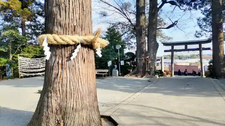 比々多神社(神奈川県)