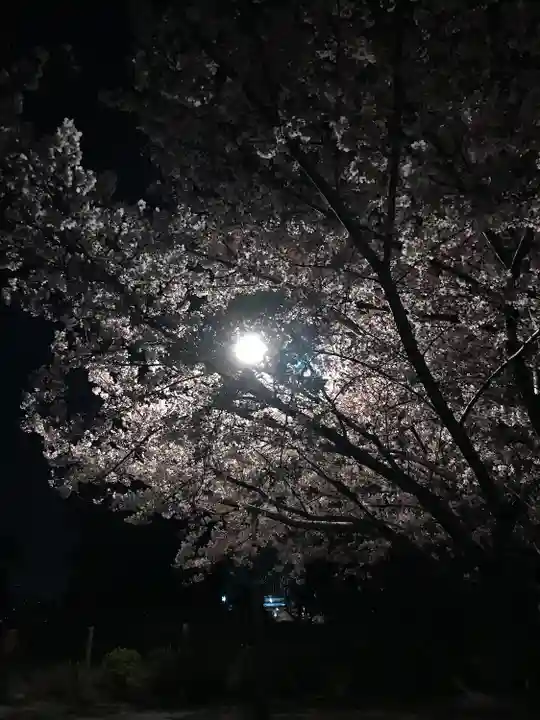 池上本門寺(東京都)