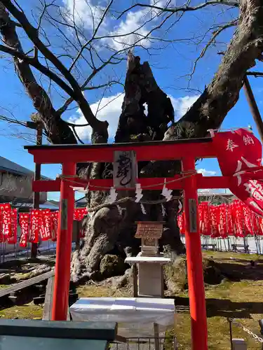 秩父今宮神社(埼玉県)