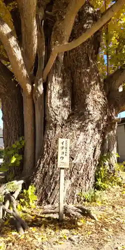 八大龍王辨財天(京都府)