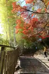 神峯山寺の建物その他