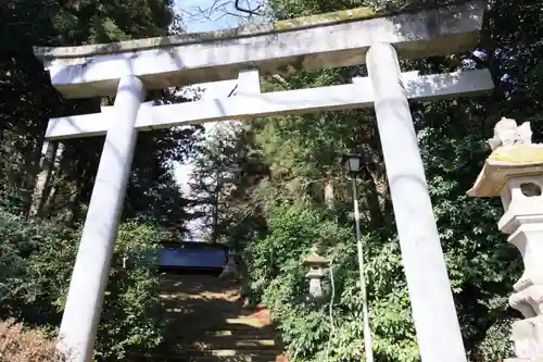 都々古別神社(馬場)の鳥居