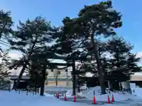 白石神社の鳥居