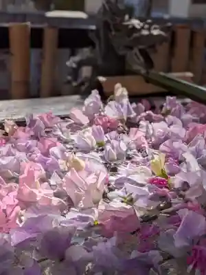高円寺氷川神社(東京都)