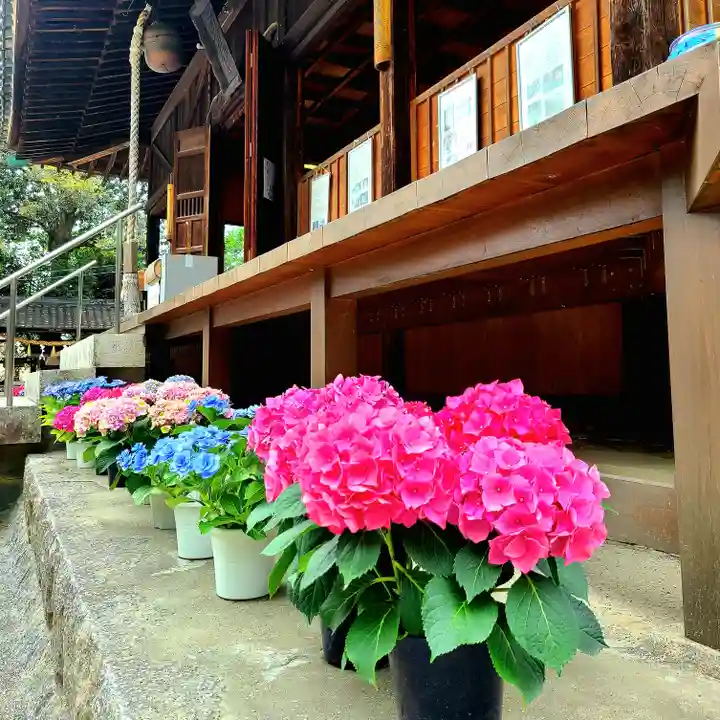 稲荷神社(愛知県)