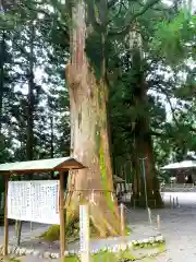 山住神社の自然